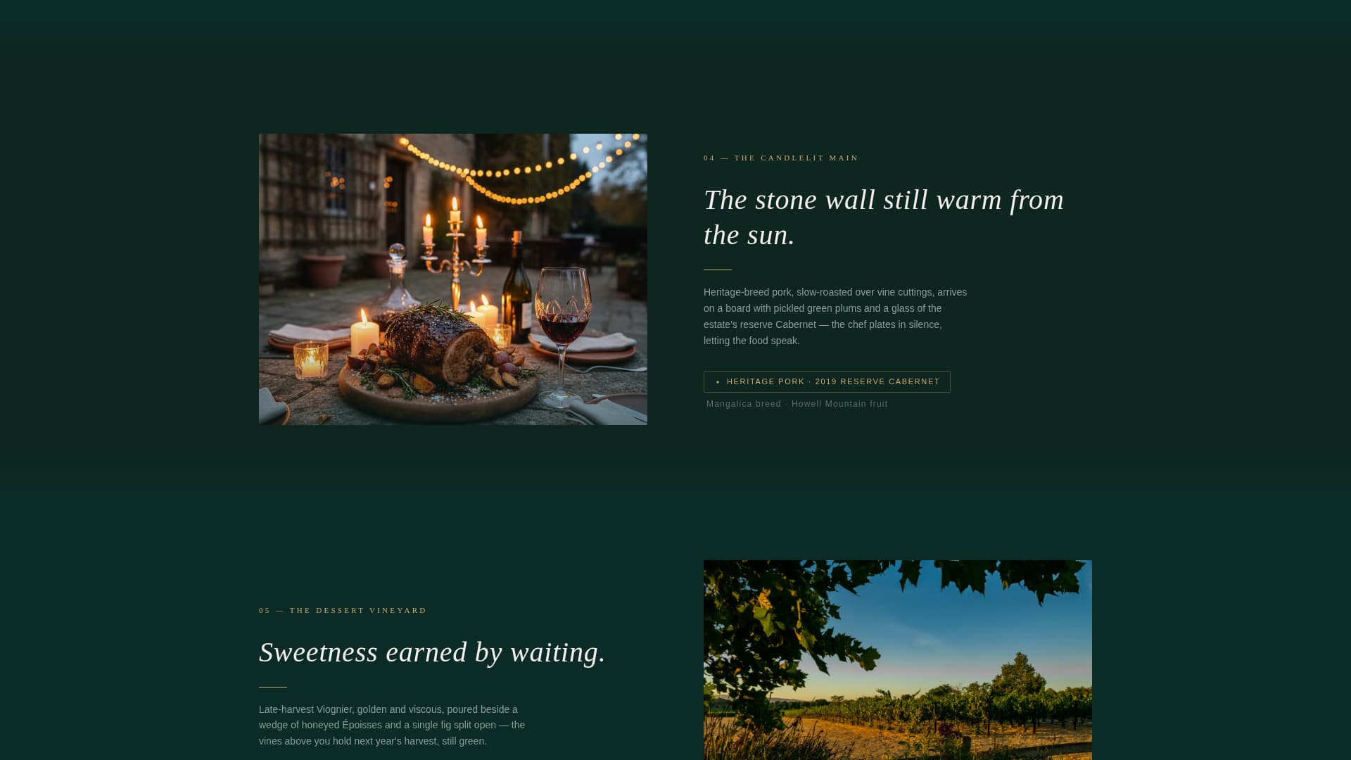 Savor - Immersive Foodandwine Landing Page Template