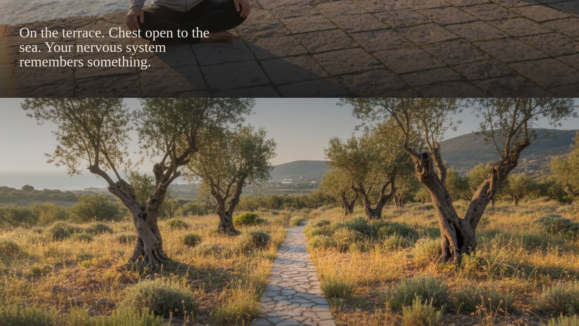 Thlassa - Immersive Wellness Landing Page Template