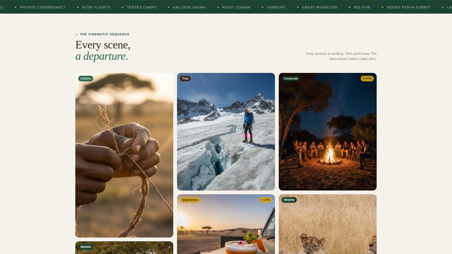 Safari - Cinematic Adventure Landing Page Template