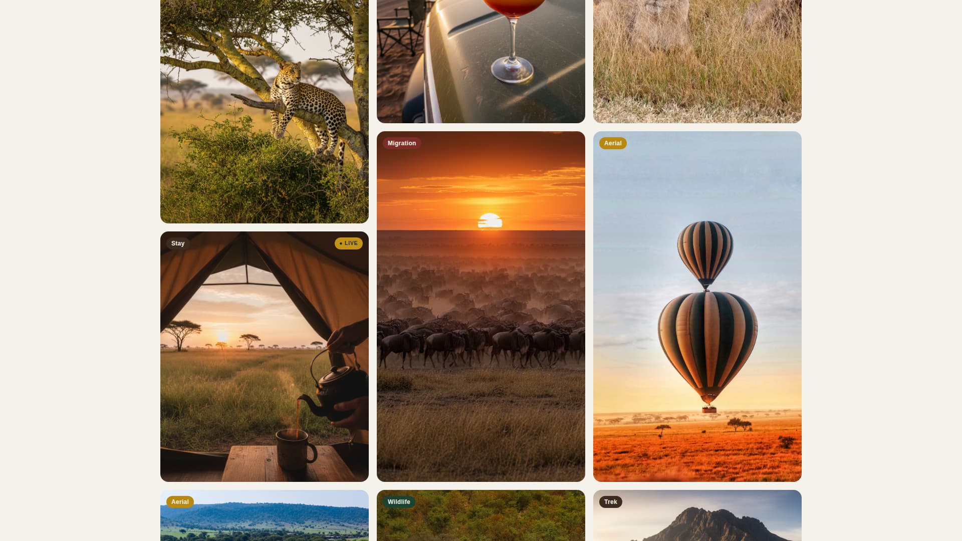 Safari - Cinematic Adventure Landing Page Template