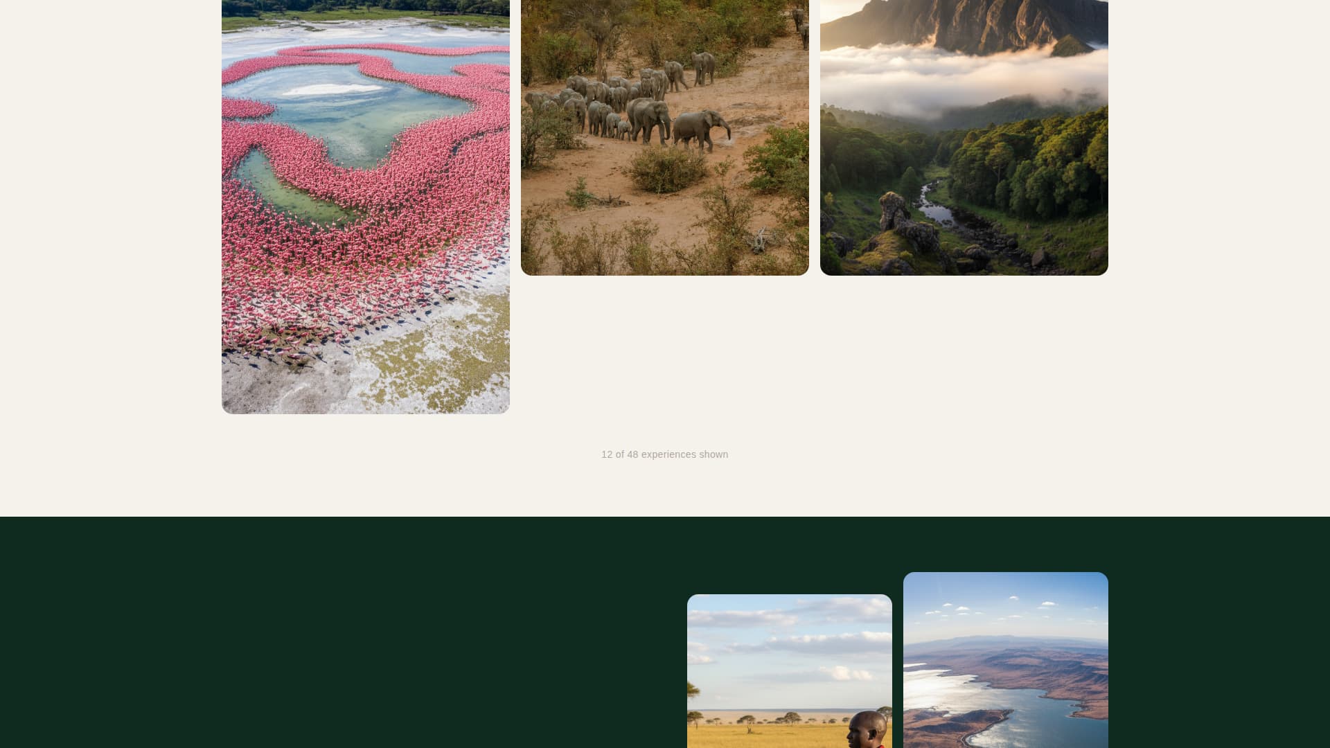 Safari - Cinematic Adventure Landing Page Template