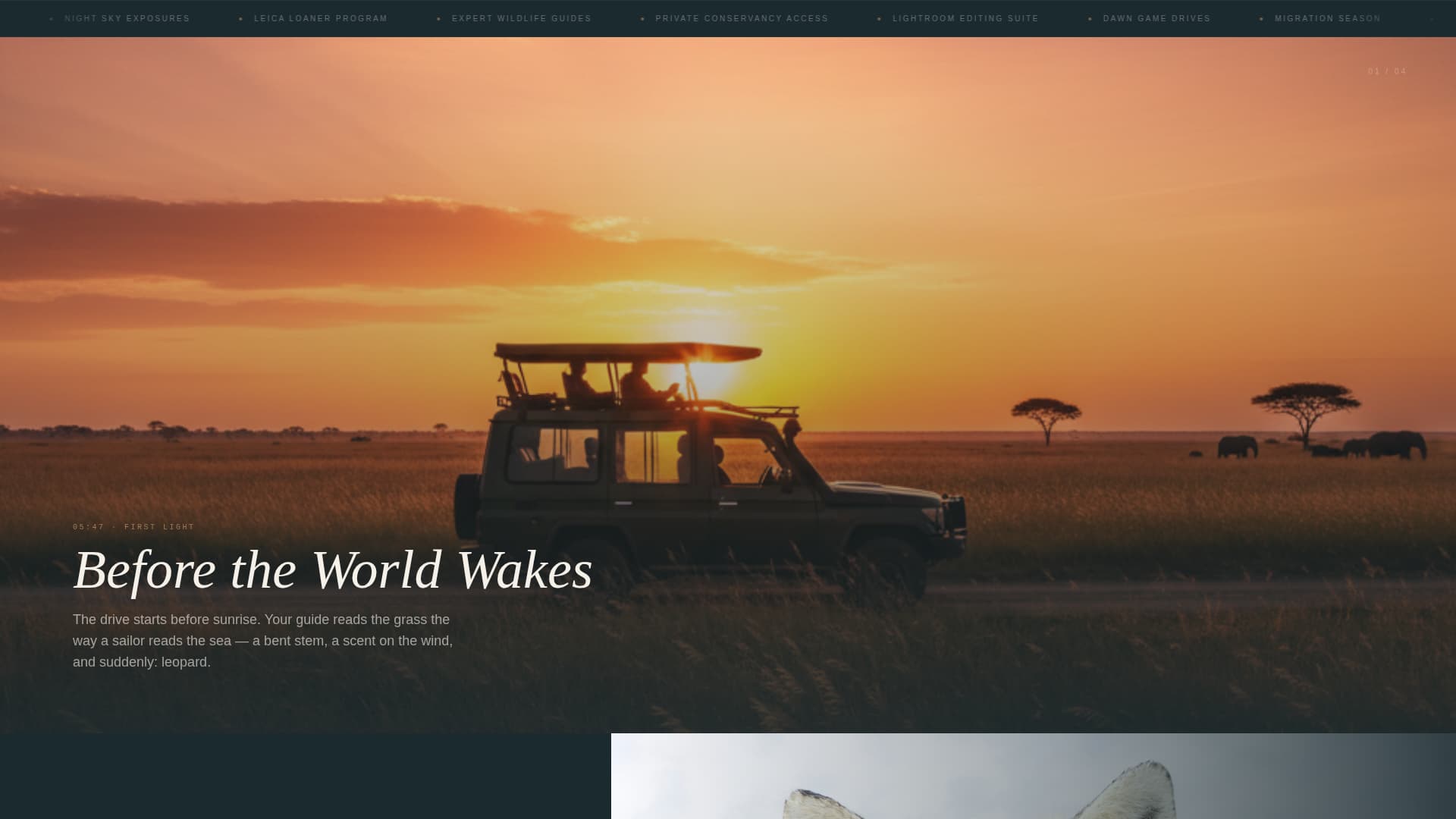 Safari - Immersive Photography Landing Page Template