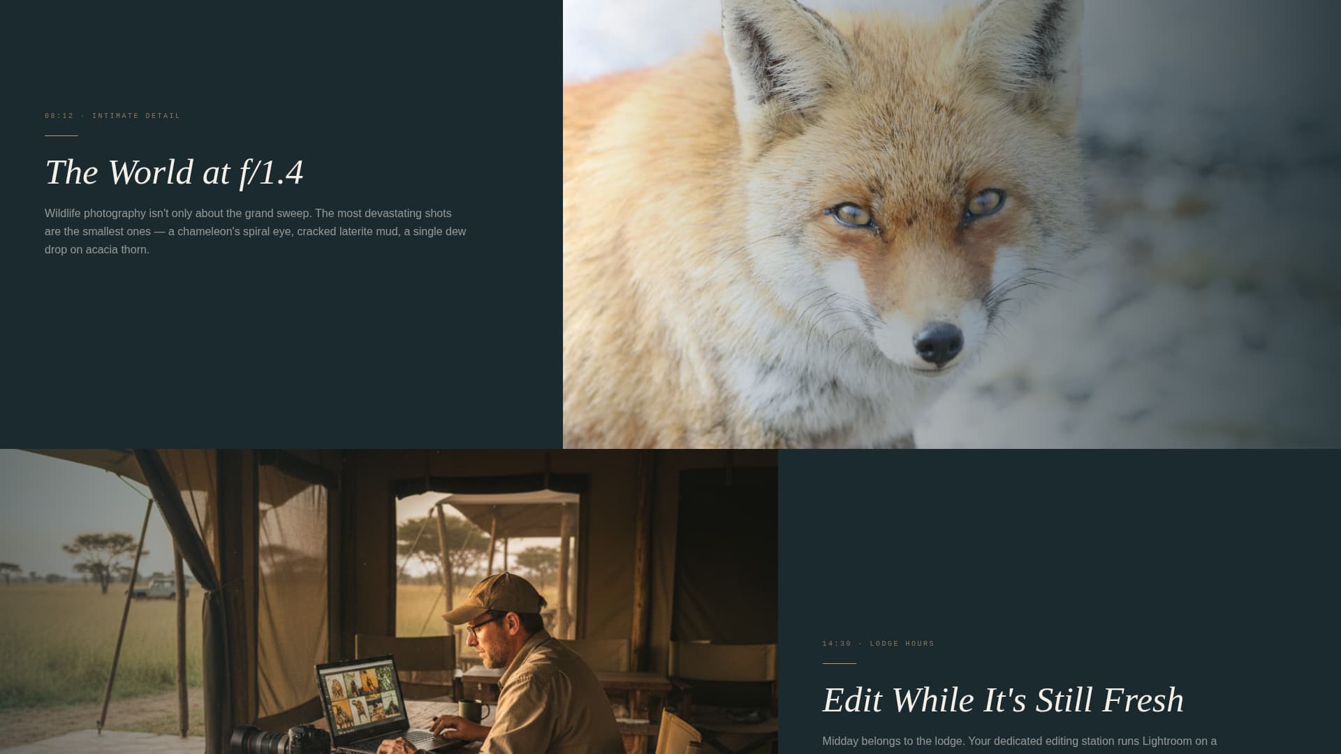 Safari - Immersive Photography Landing Page Template