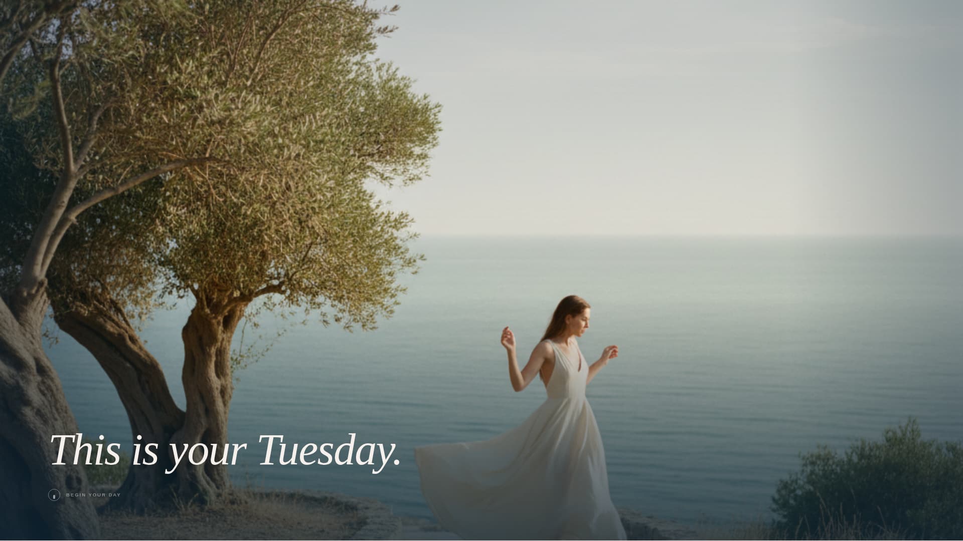 Haven - Immersive Hotel Landing Page Template