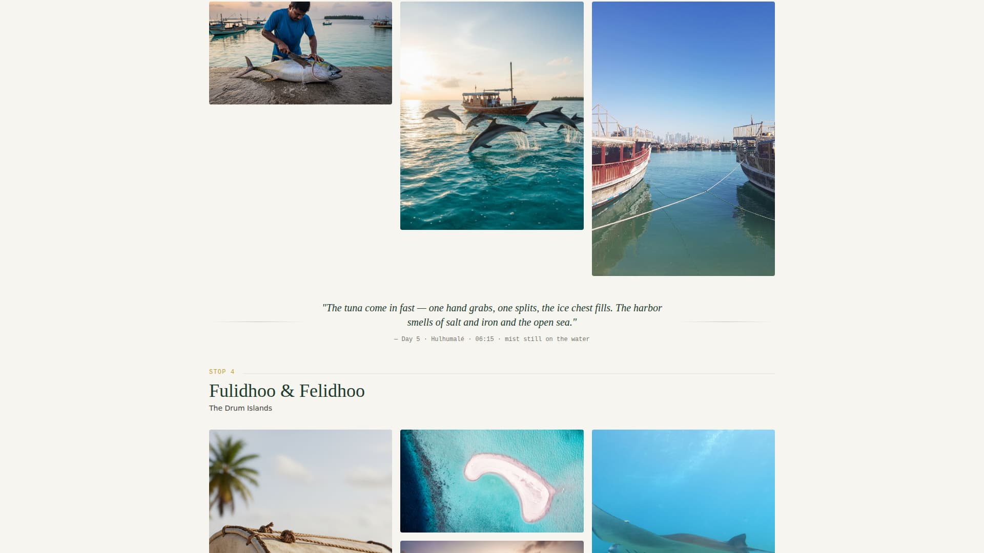 Dhoni - Immersive Cultural Landing Page Template