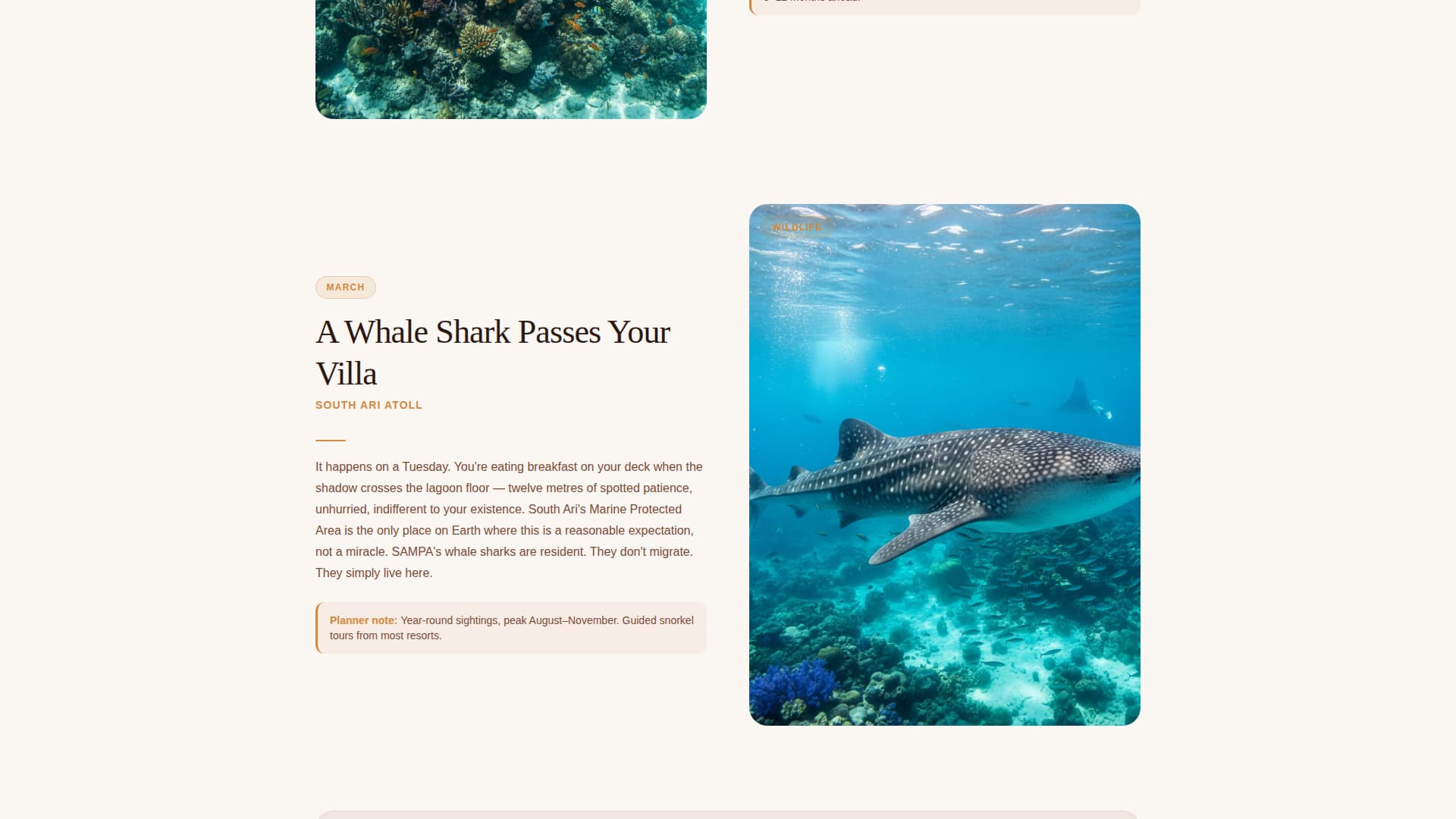 Atoll - Breathtaking Maldives Landing Page Template