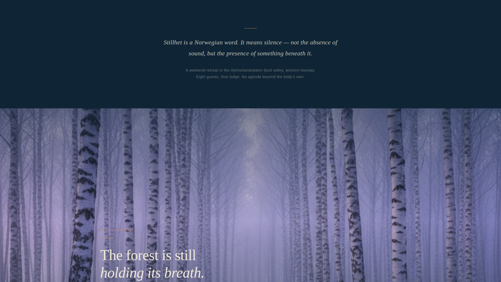 Stillhet - Immersive Wellness Landing Page Template