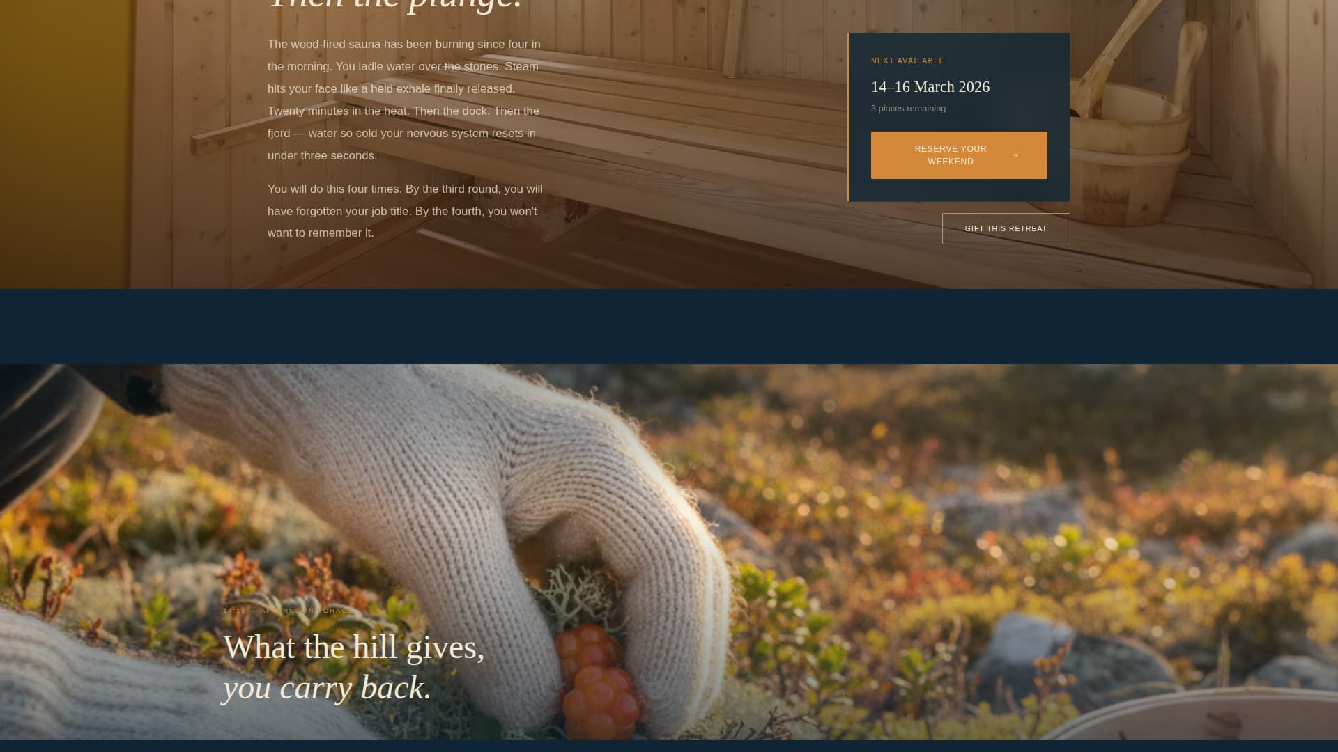 Stillhet - Immersive Wellness Landing Page Template