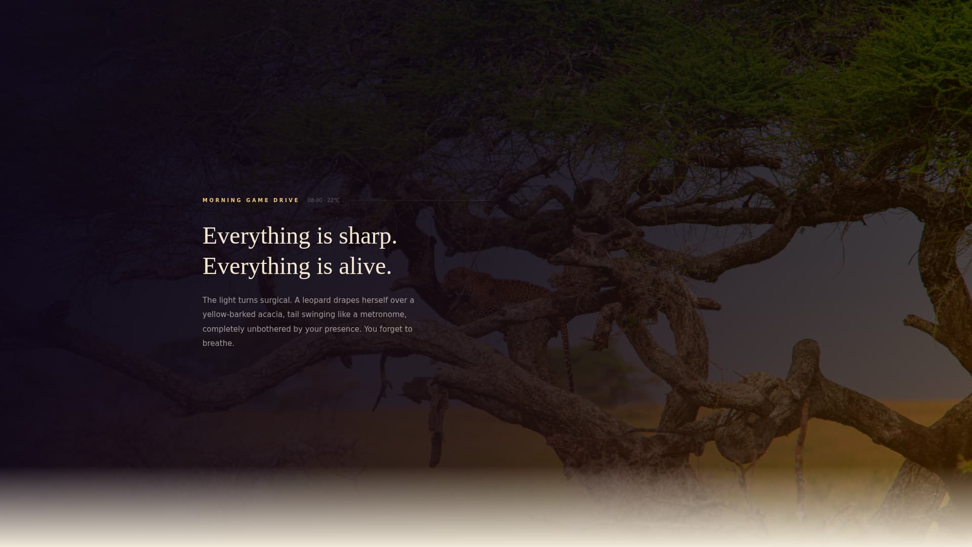 Trek - Breathtaking Safari Landing Page Template