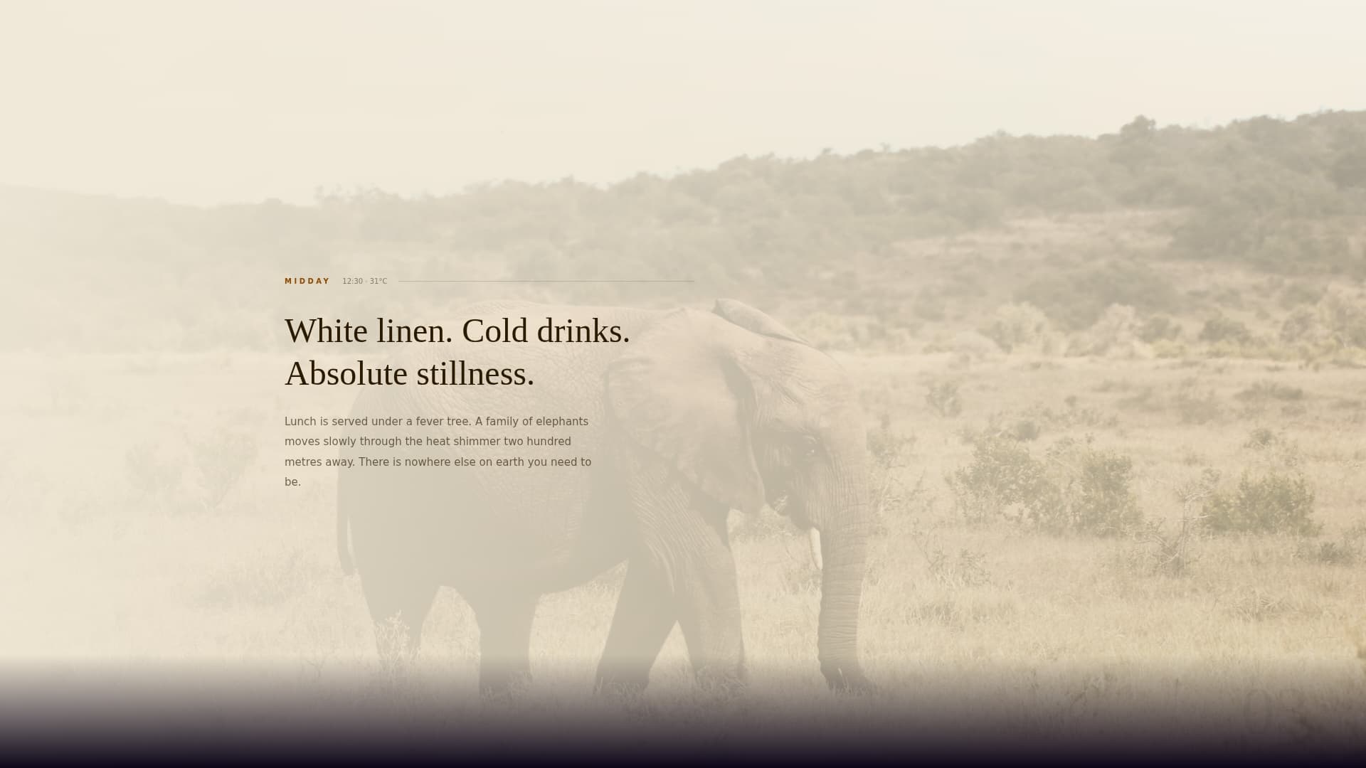 Trek - Breathtaking Safari Landing Page Template