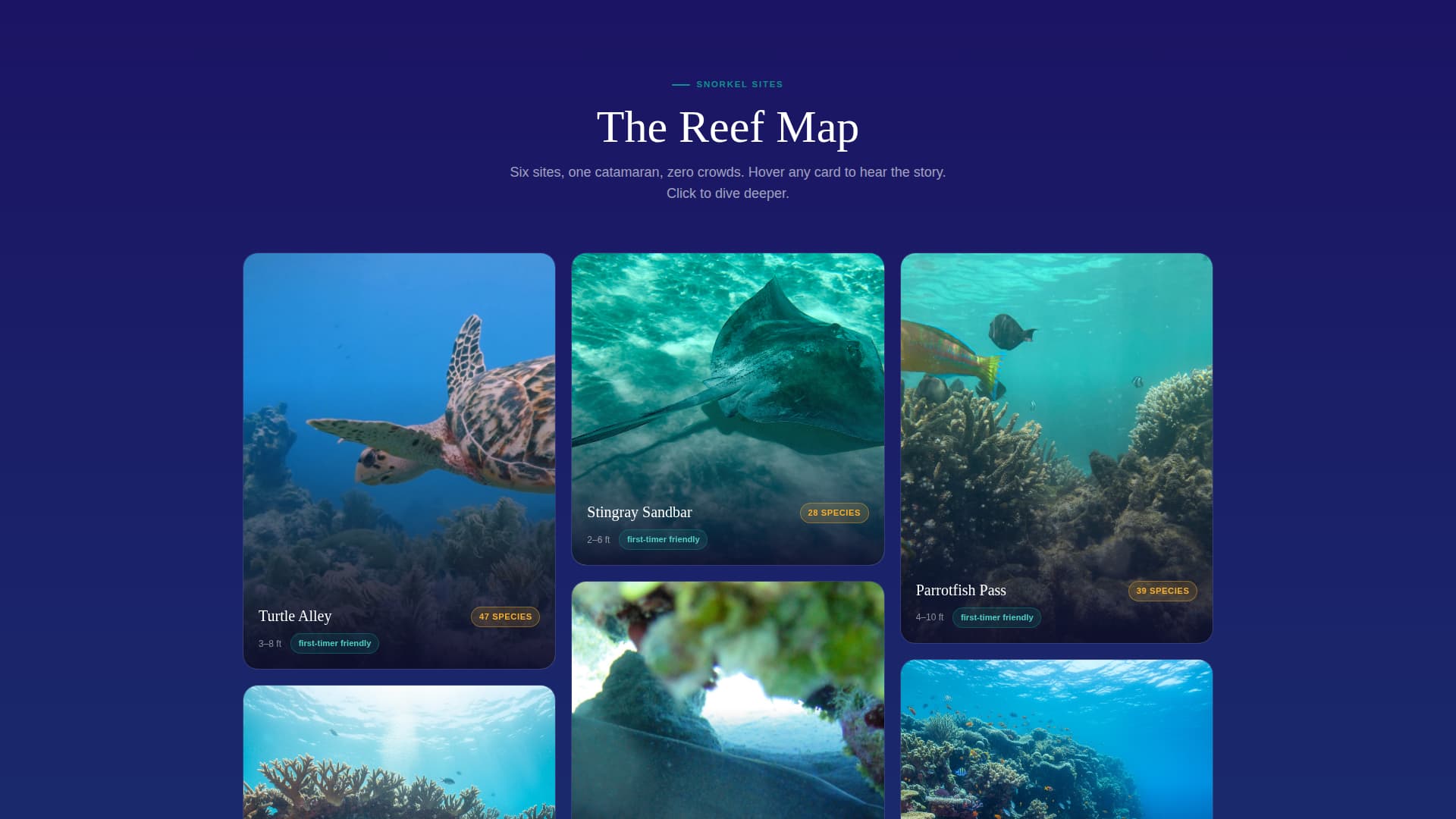 Drift - Immersive Snorkeling Landing Page Template