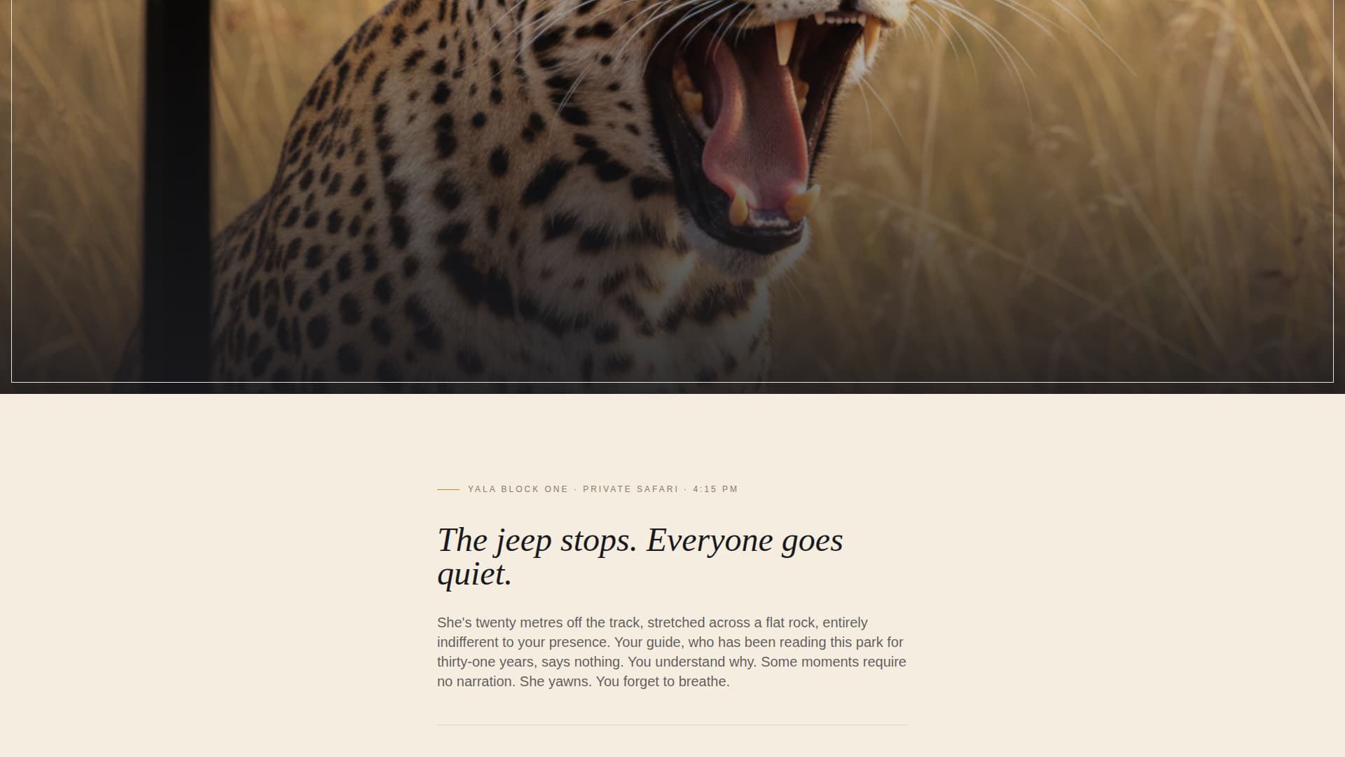 Serendib - Immersive Luxury Landing Page Template