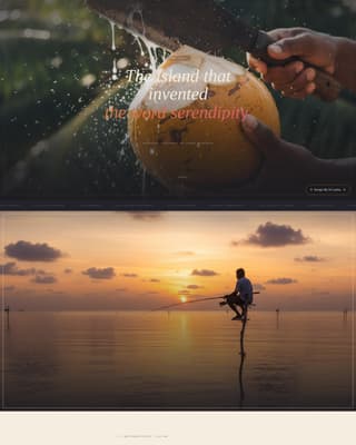 Sri Lanka Travel Booking Website Template