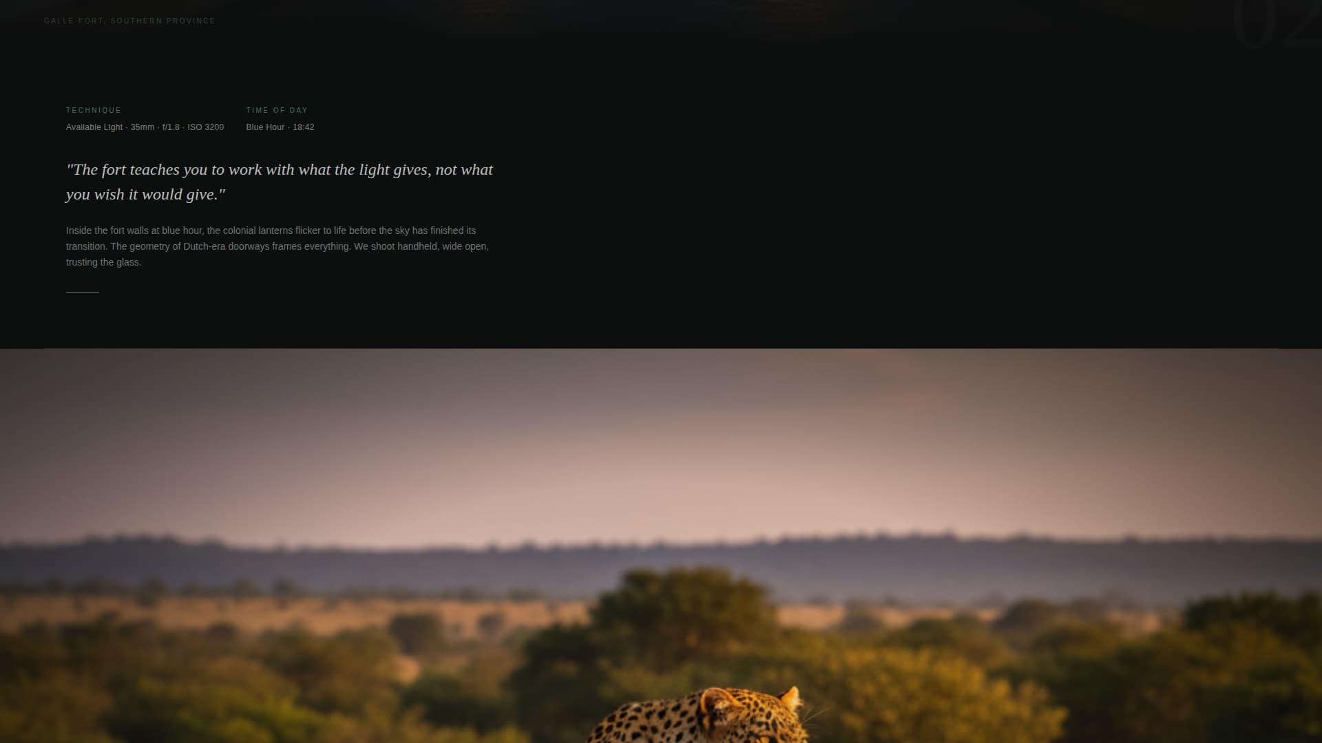 Vista East Africa — Landing Page Template