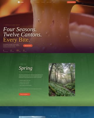 Switzerland Travel Advanced Booking Website Template