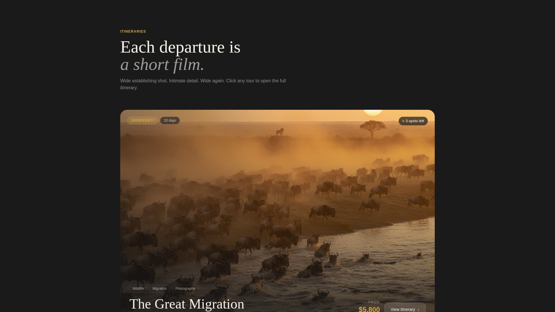 Trek Safari — Adventure Landing Page Template