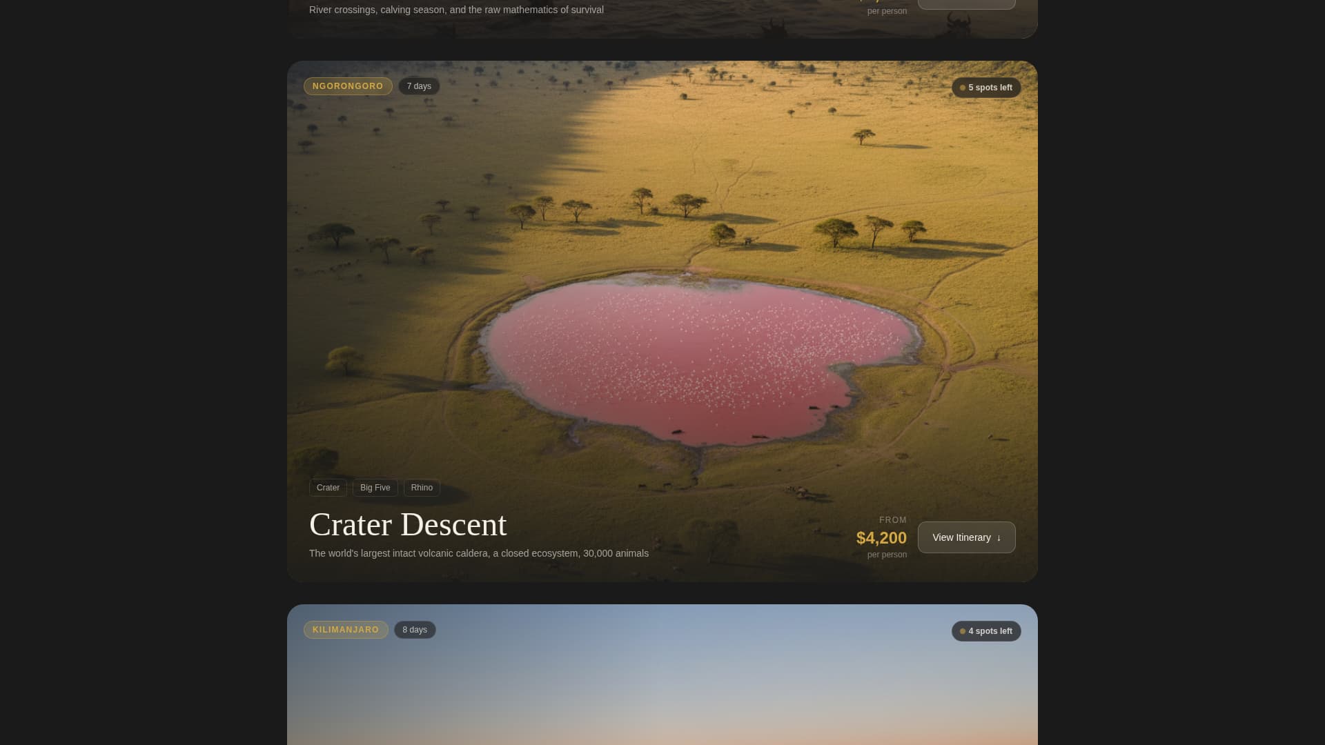 Trek Safari — Adventure Landing Page Template