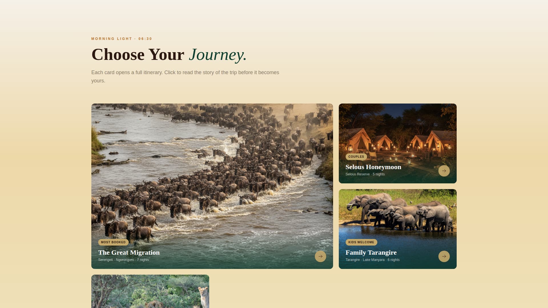 Trek Adventure — Safari Landing Page Template