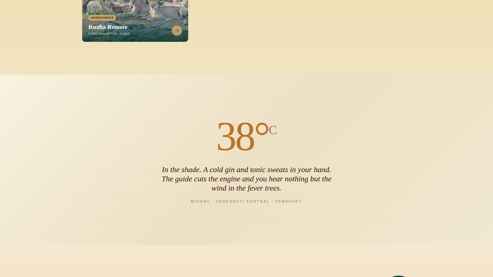 Trek Adventure — Safari Landing Page Template