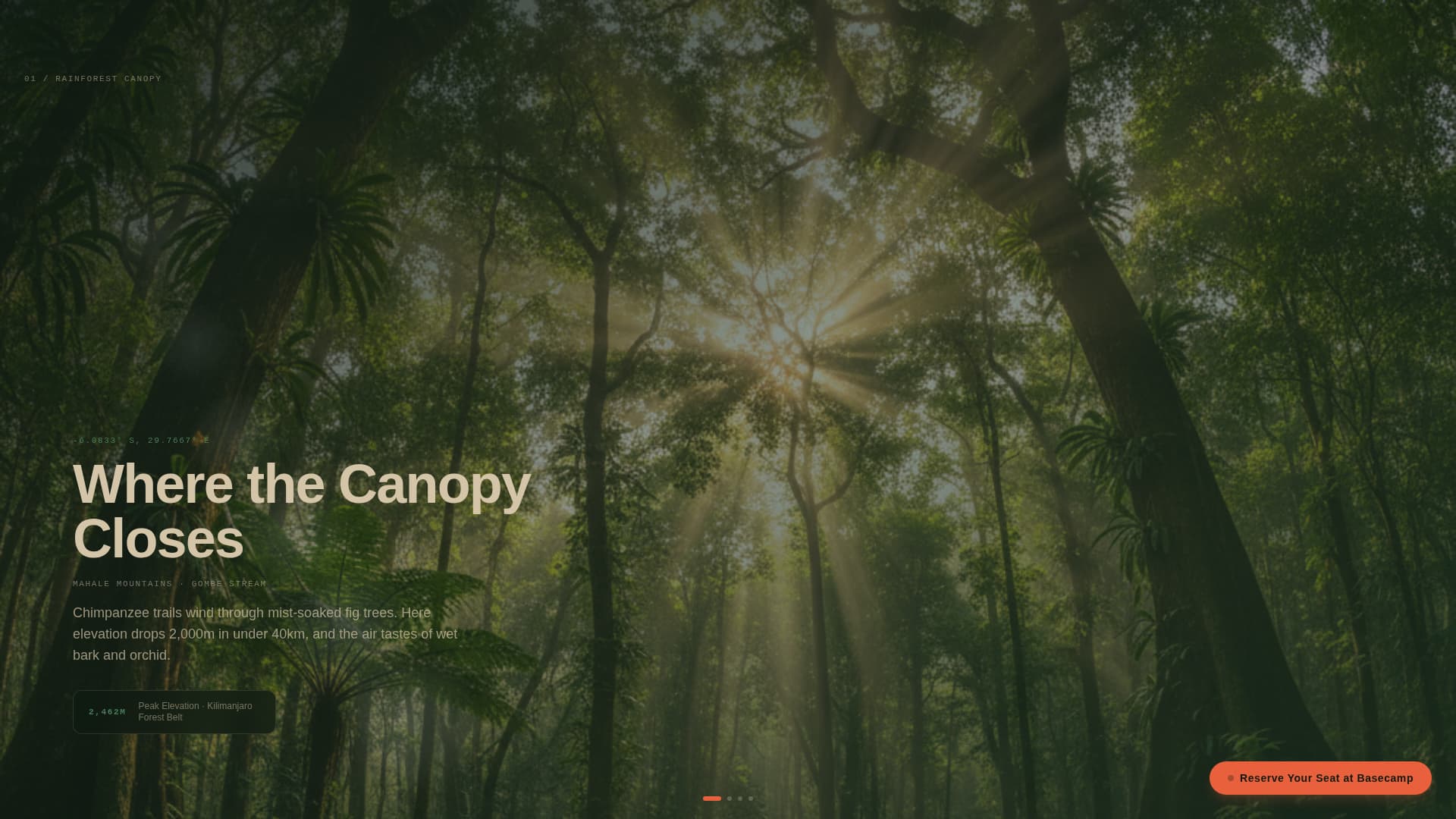 Capture Wildlife — Safari Landing Page Template