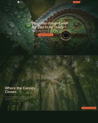 Tanzania Travel Blog Website Template