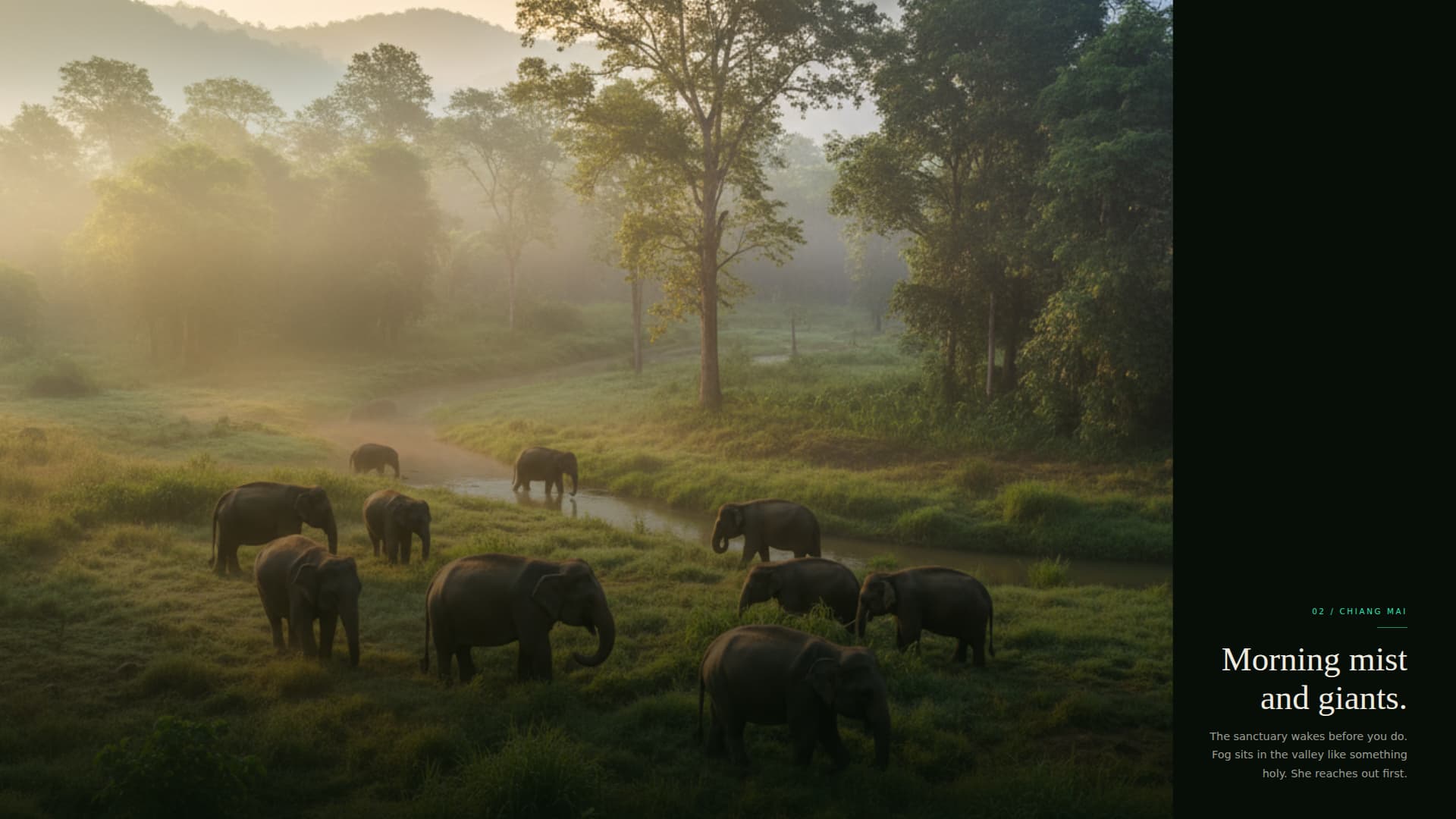 Drift - Immersive Honeymoon Landing Page Template