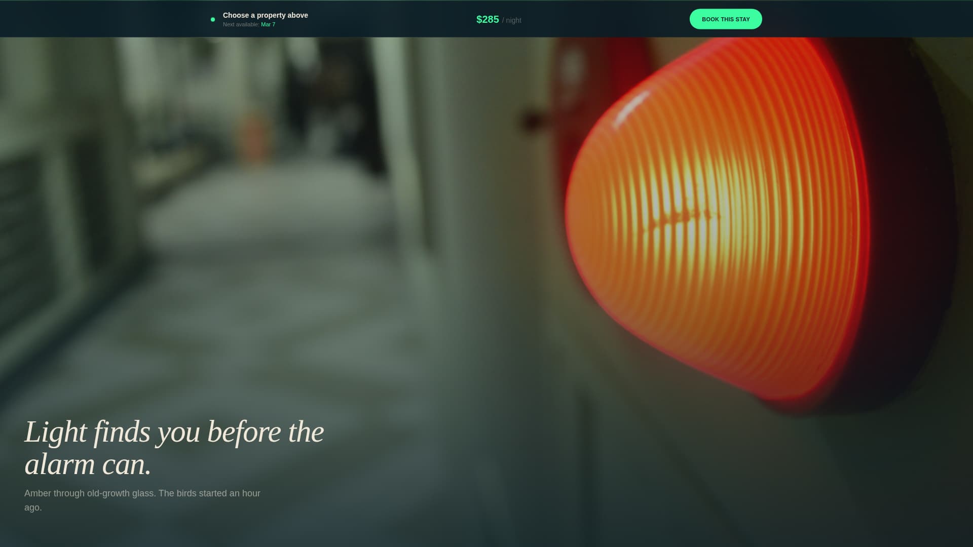 Canopy - Immersive Glamping Landing Page Template