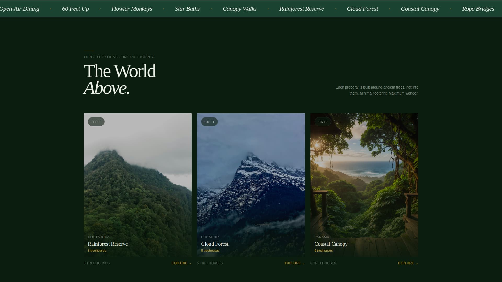 Canopy - Immersive Treehouse Landing Page Template