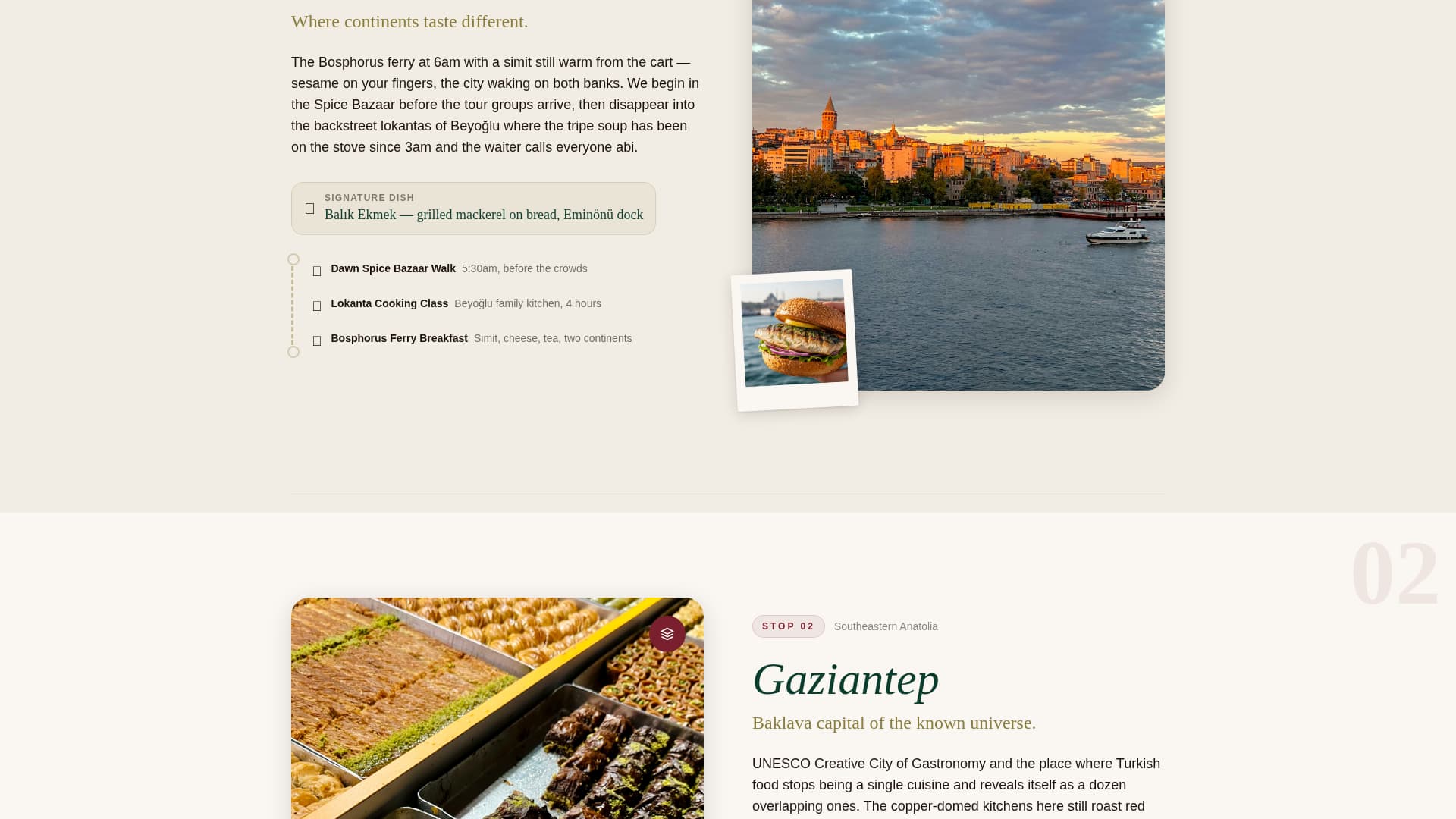 Sofra - Immersive Culinary Landing Page Template