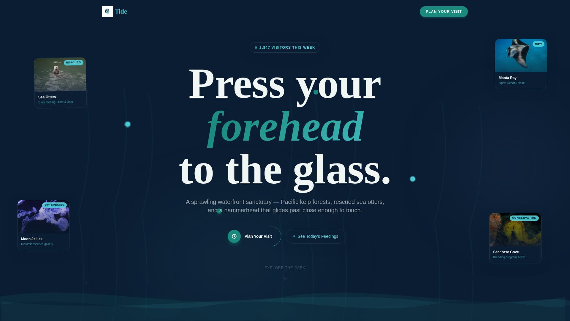 Tide - Immersive Aquarium Landing Page Template
