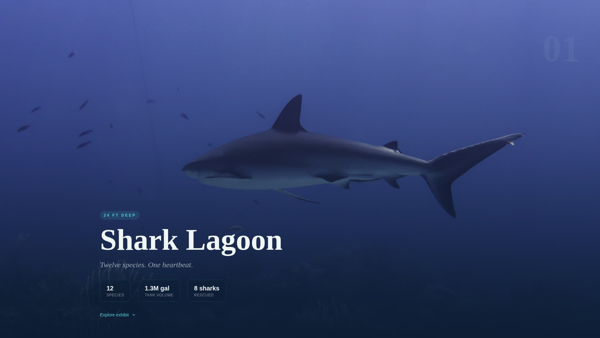 Tide - Immersive Aquarium Landing Page Template