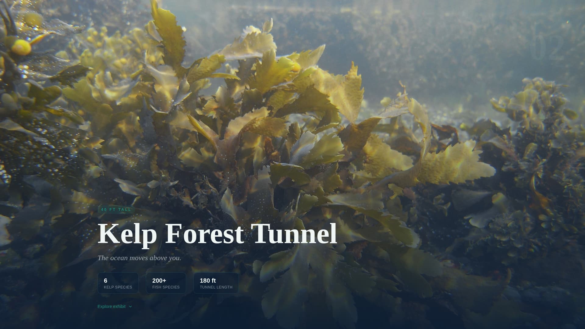 Tide - Immersive Aquarium Landing Page Template