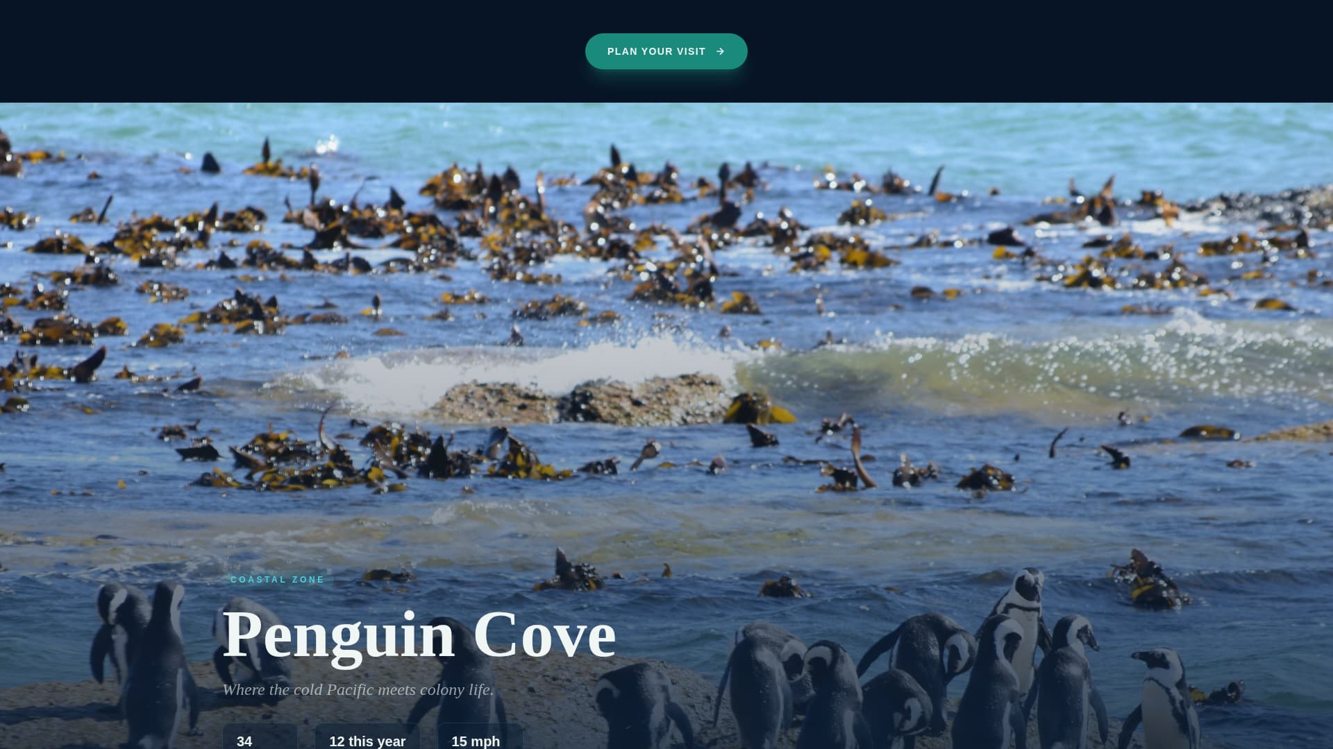 Tide - Immersive Aquarium Landing Page Template