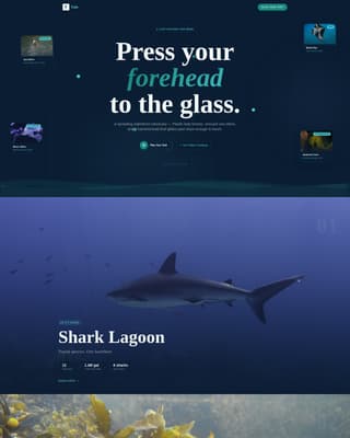 Tourist Attraction & Destination Advanced Booking Website Template