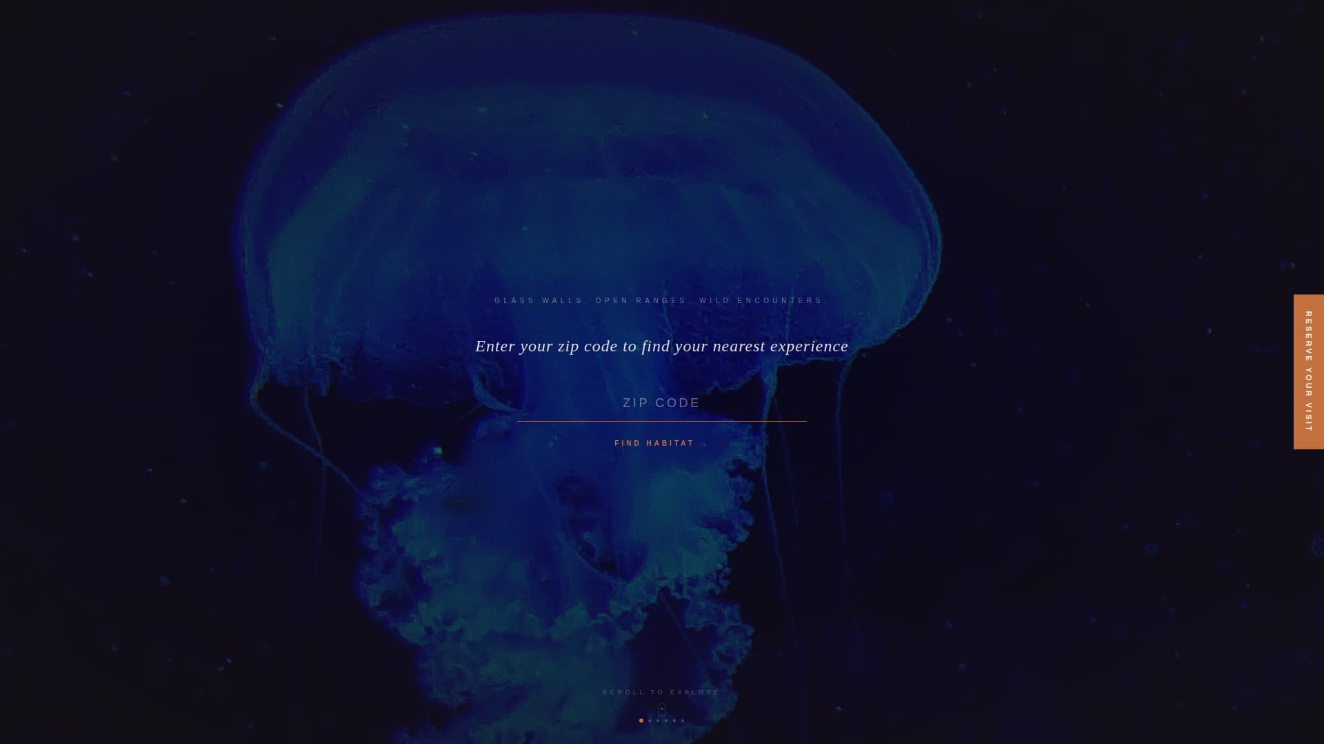 Habitat - Cinematic Zoo Landing Page Template