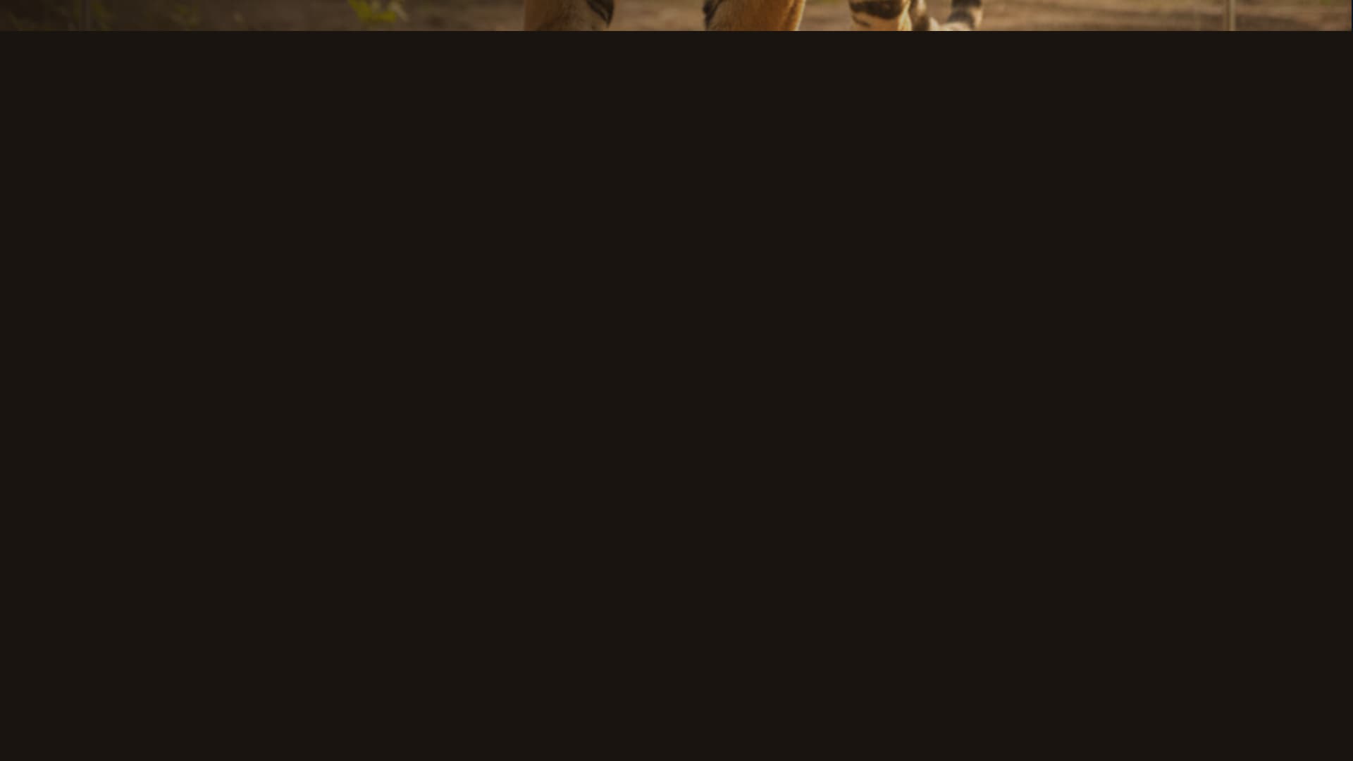 Habitat - Cinematic Zoo Landing Page Template