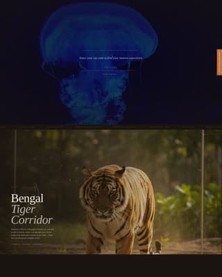 Tourist Attraction & Destination Specialist Booking Website Template