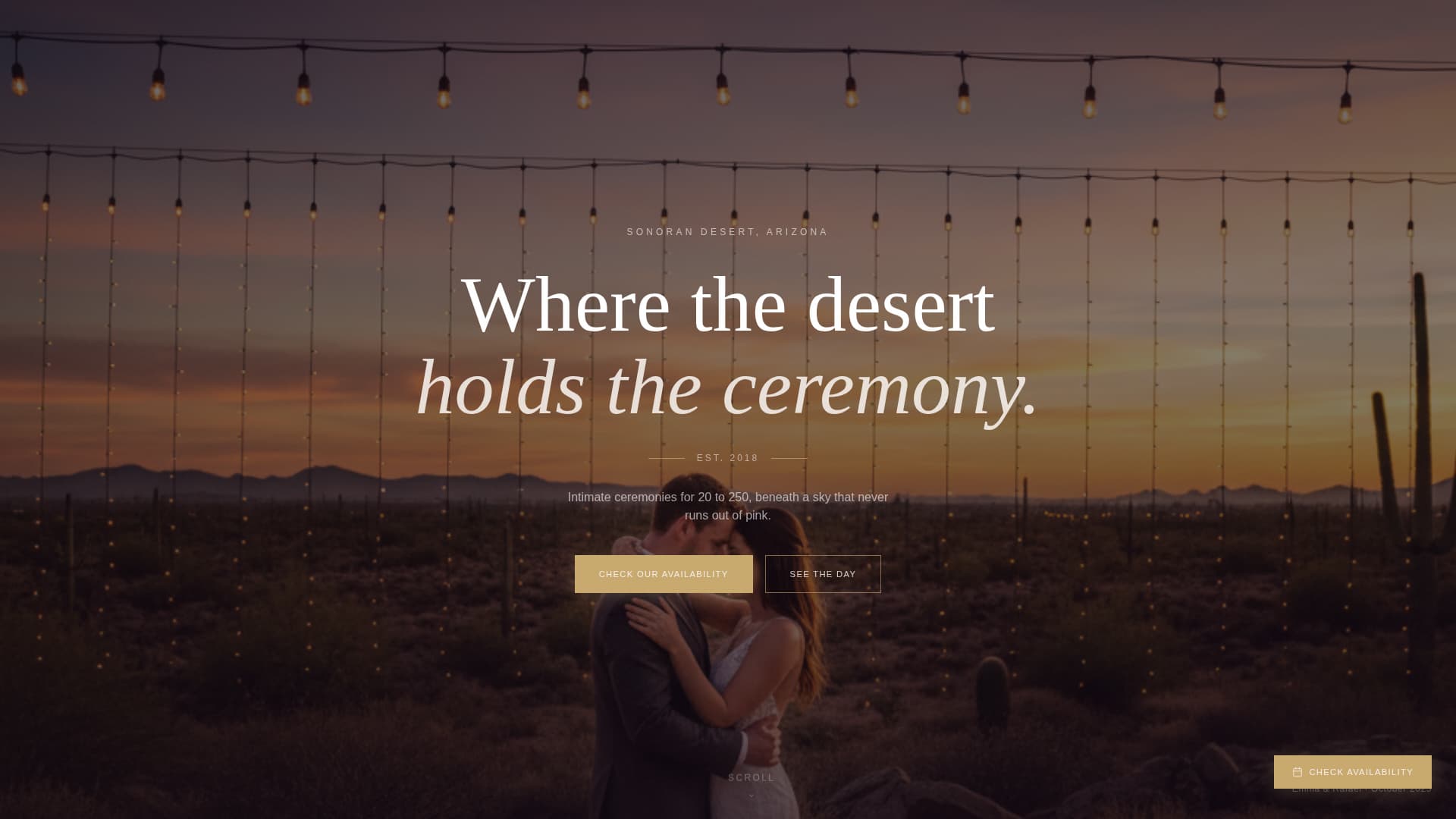Sand — Desert Wedding Landing Page Template