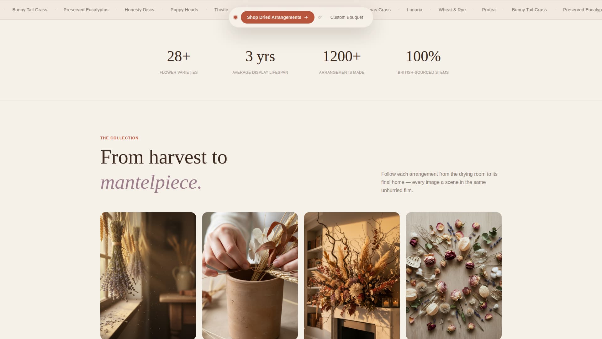 Bloom - Timeless Florist Landing Page Template