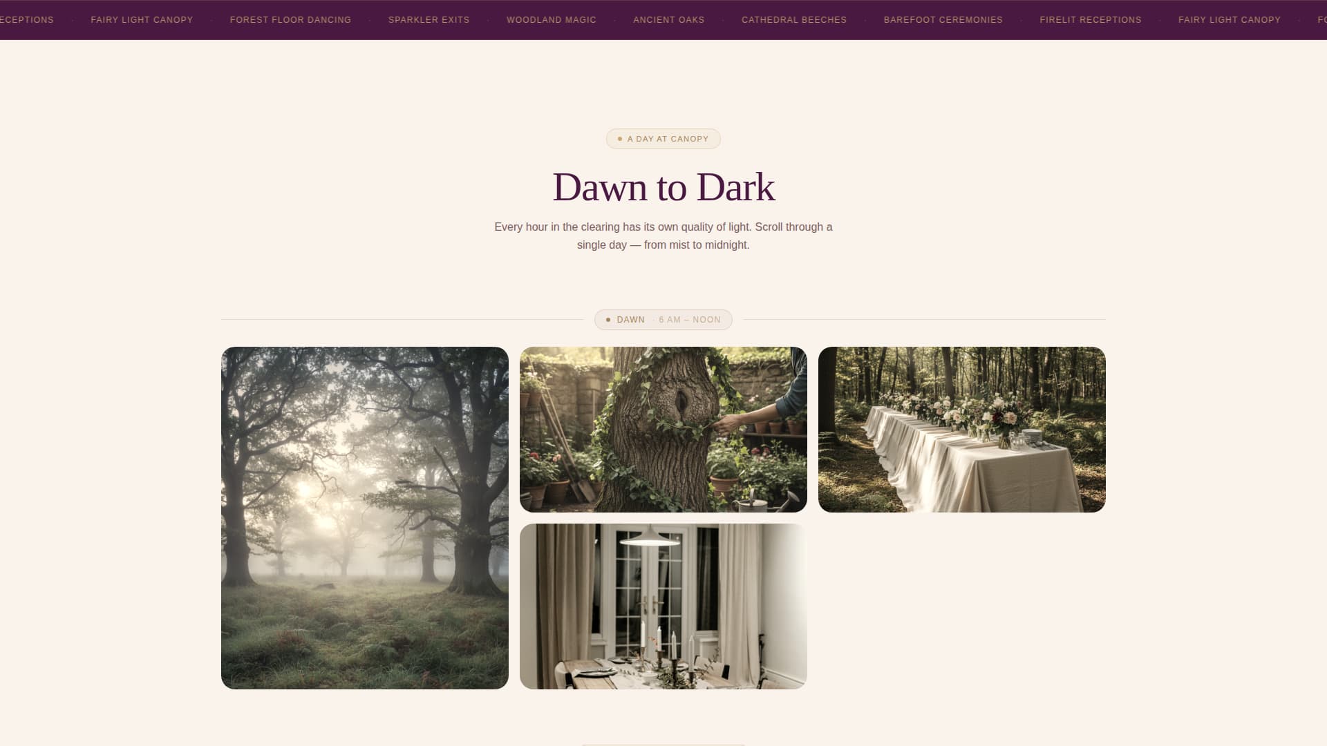 Canopy - Enchanting Woodland Landing Page Template