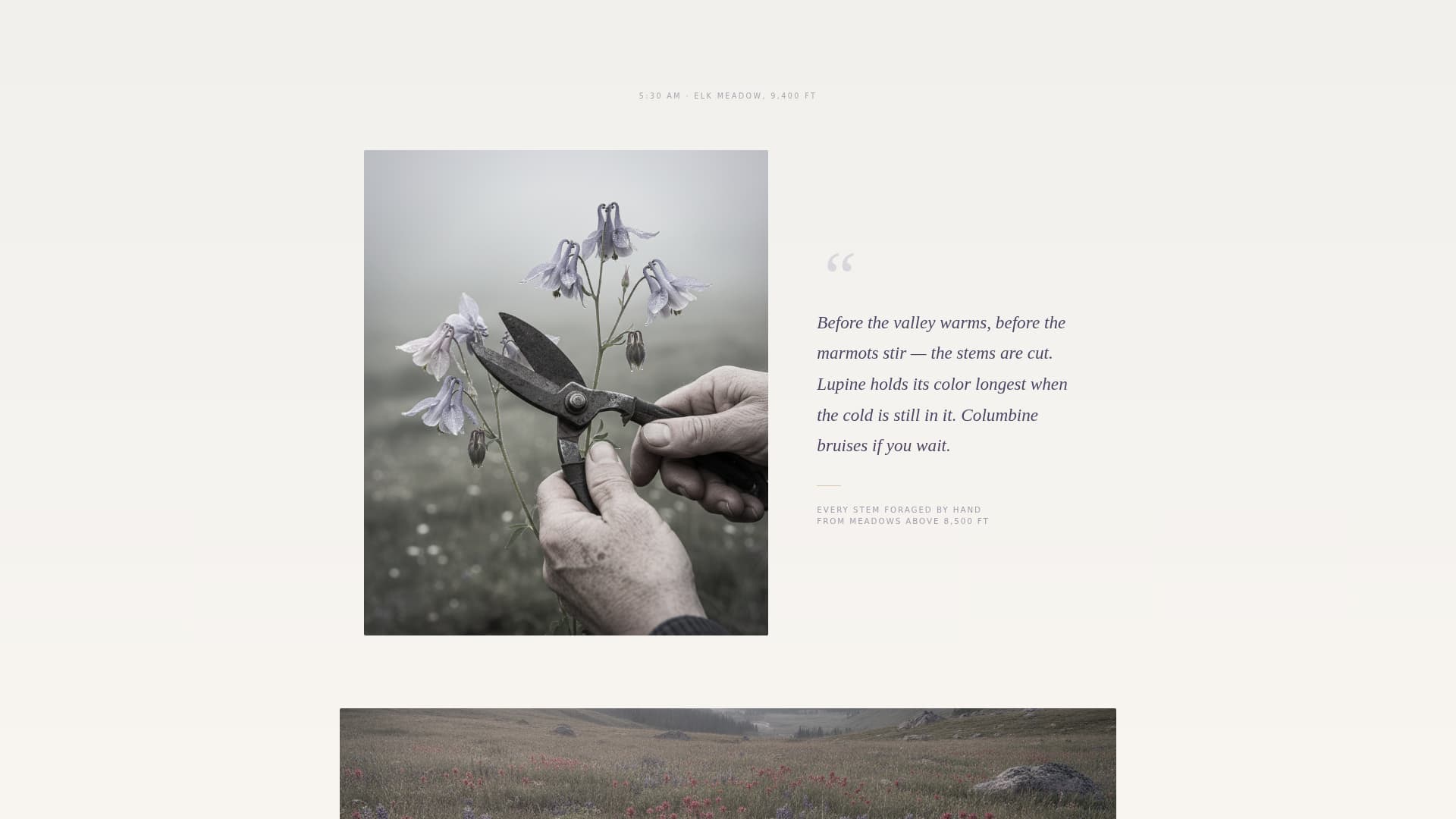 Blossom — Captivating Flower Design Landing Page Template