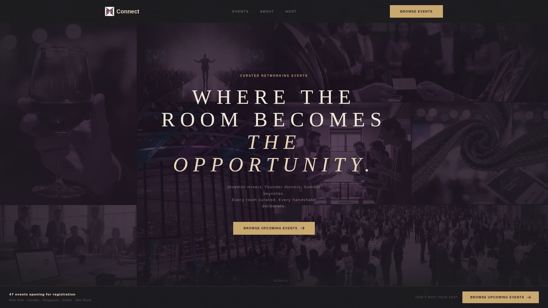Connect - Luxe Networking Landing Page Template