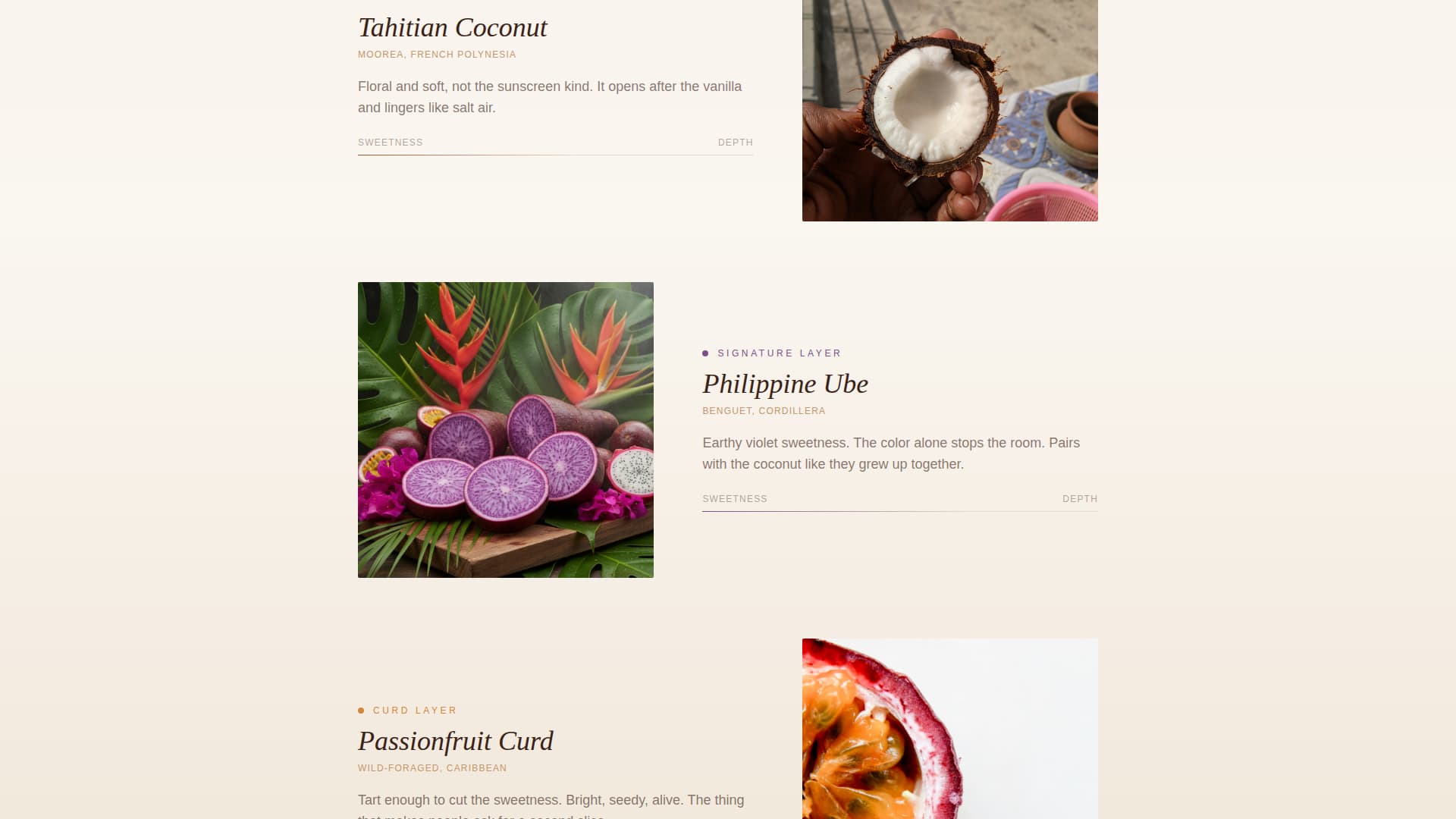 Fondant - Dreamy Weddingcake Landing Page Template