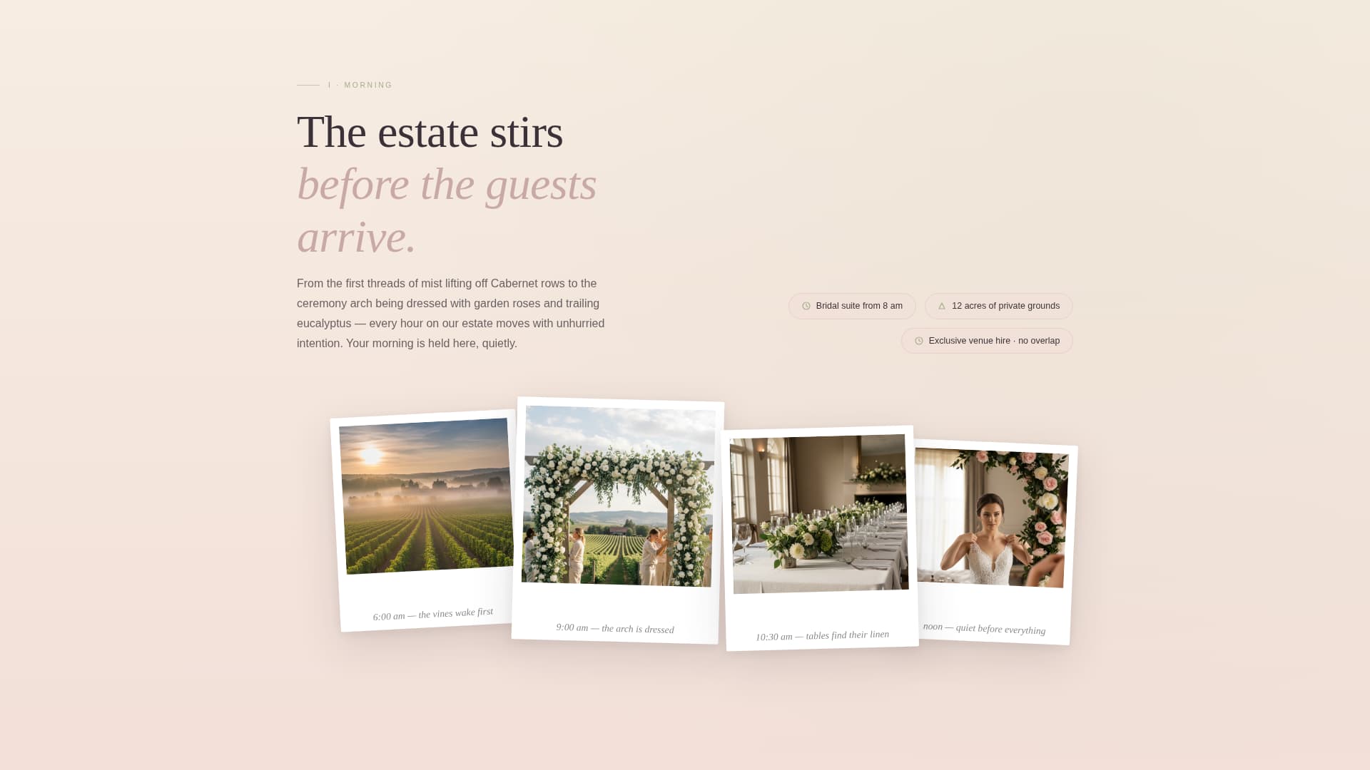 Vintage - Enchanting Vineyard Landing Page Template