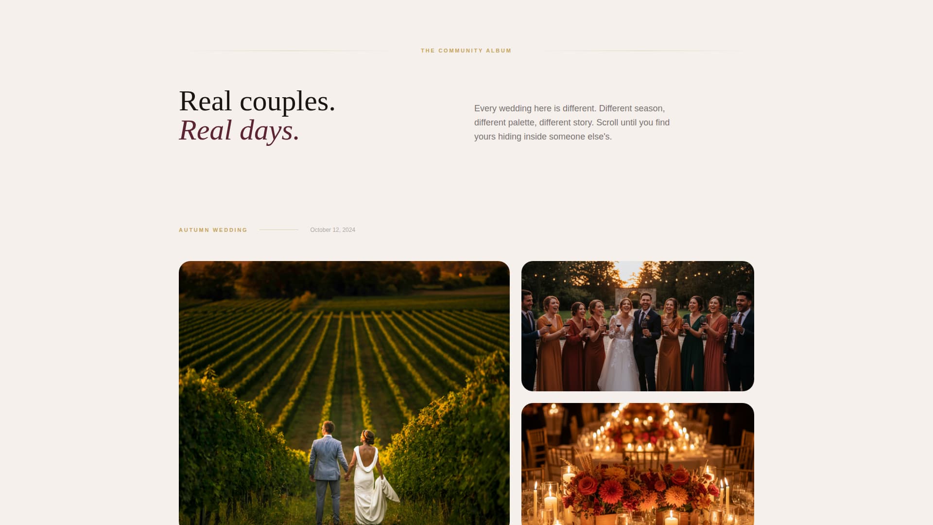 Vows - Enchanting Vineyard Landing Page Template