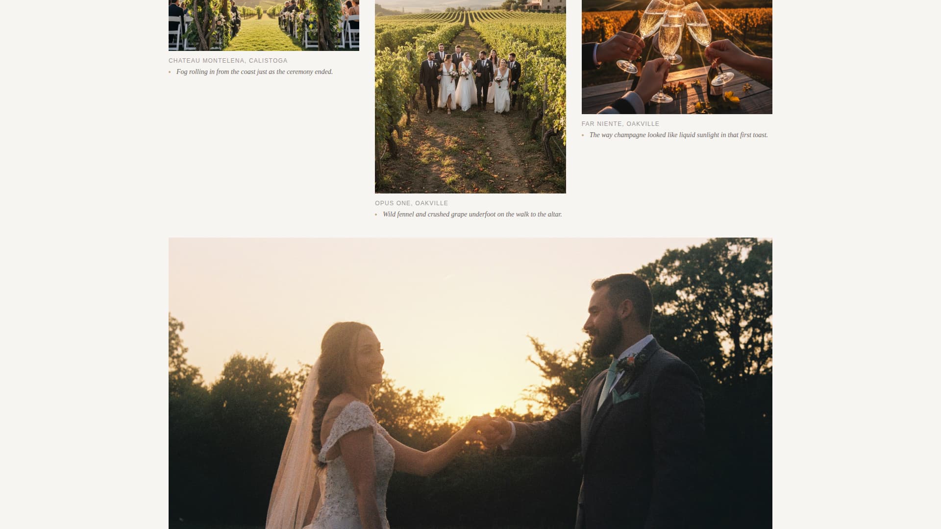Vows - Cinematic Vineyard Landing Page Template