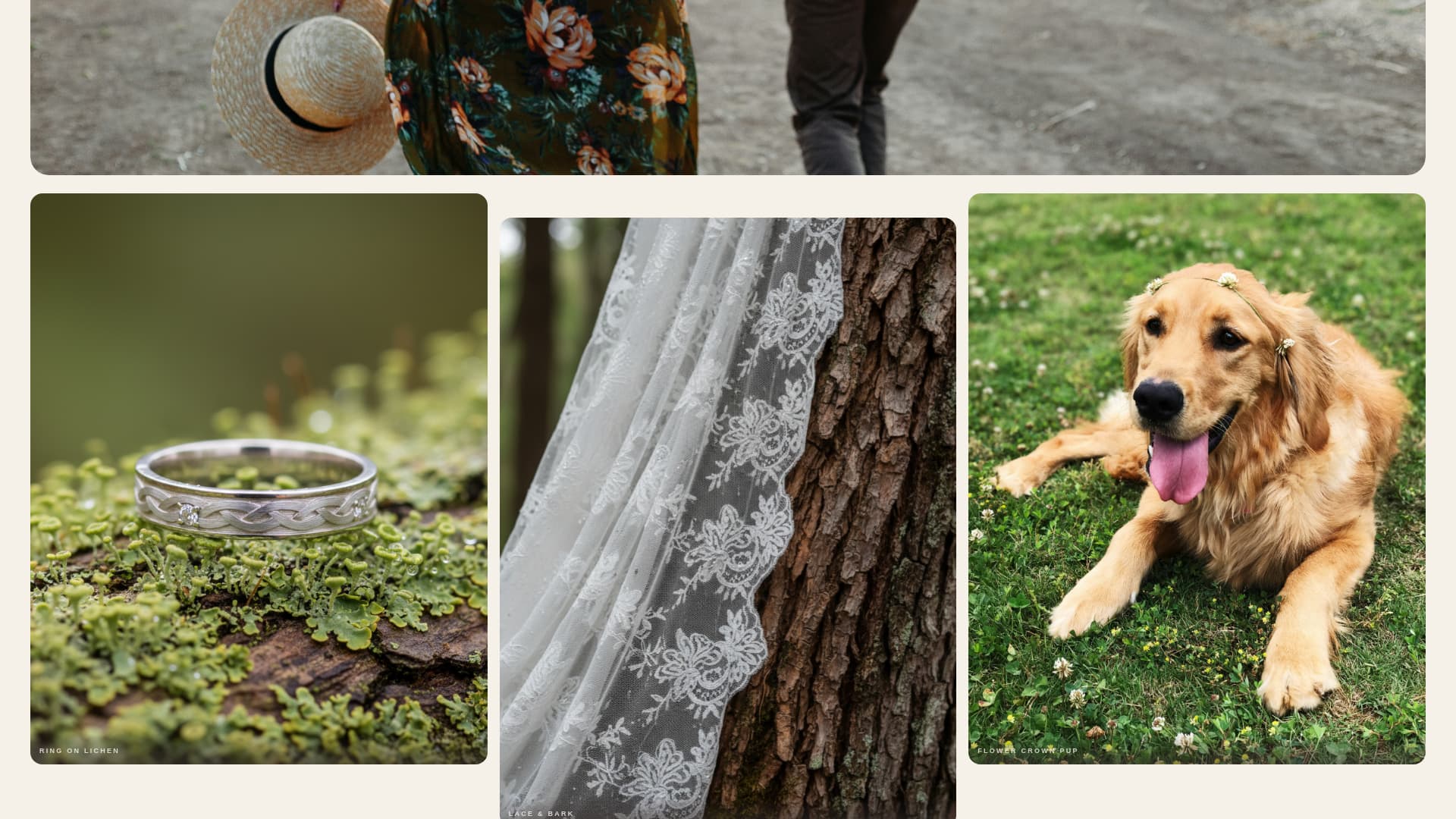 Arbor — Forest Conservation Landing Page Template