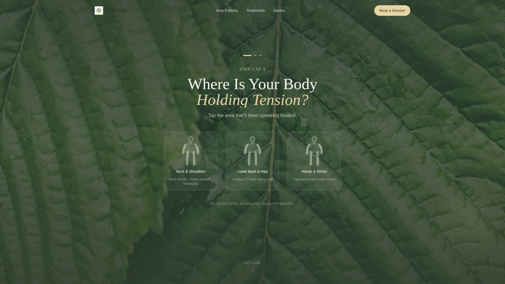 Meridian - Healing Acupressure Landing Page Template