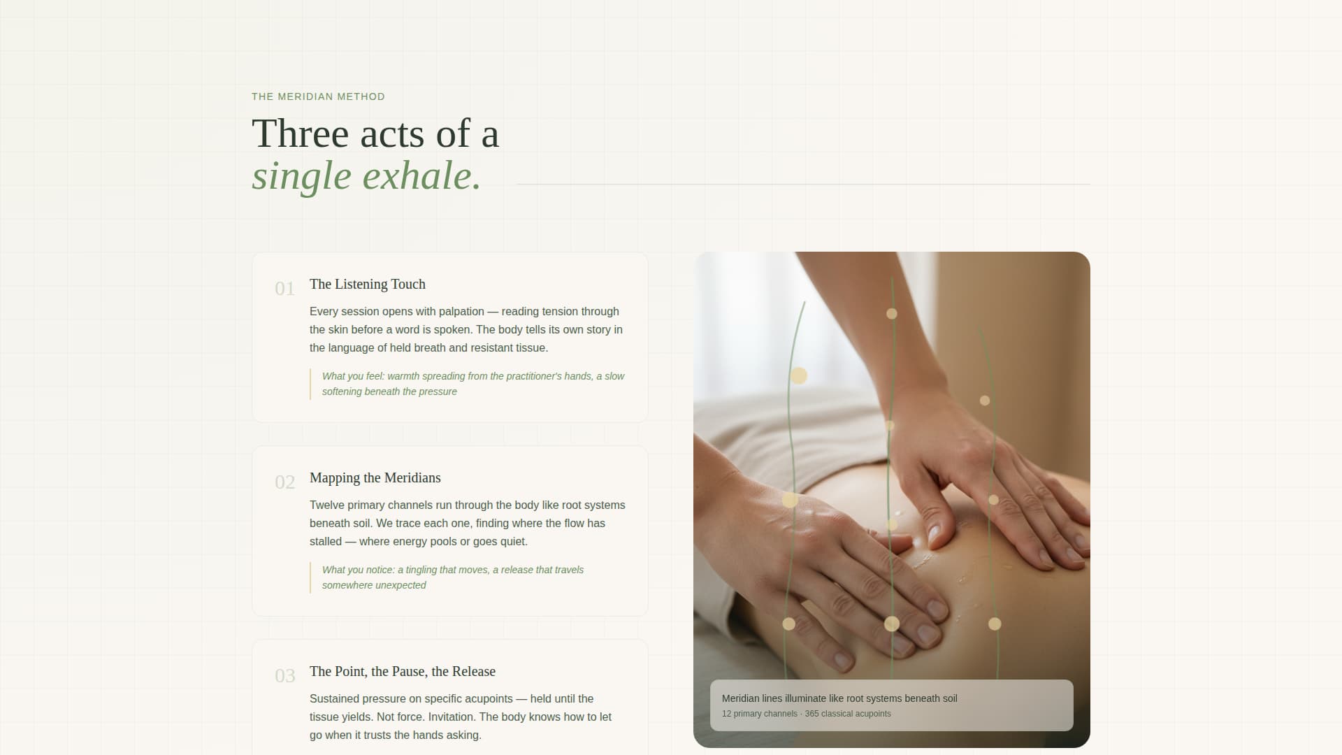 Meridian - Healing Acupressure Landing Page Template