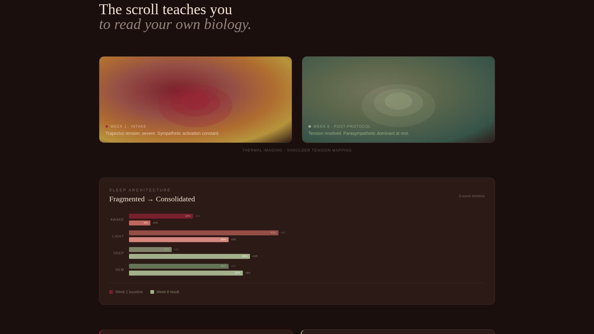 Pulse - Transformative Biofeedback Landing Page Template